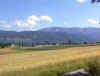 DSC00002.jpg (416780 Byte)