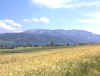 DSC00006.jpg (438284 Byte)