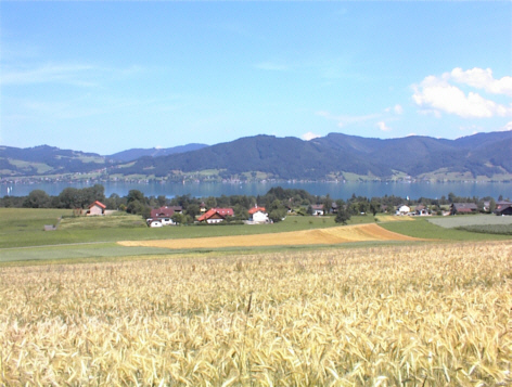 Blick v. Haus 2