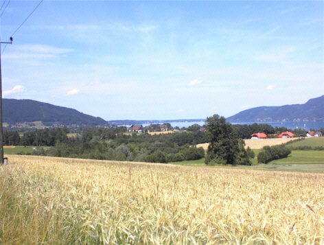 Blick v. Haus 3