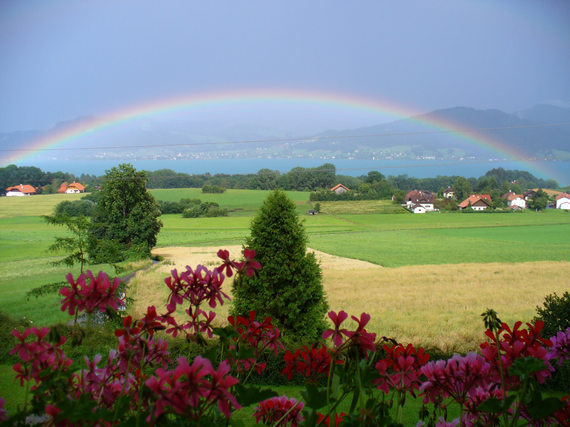 Regenbogen